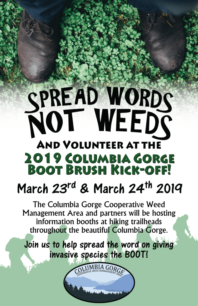 CG-BBKO-Announcement-'19